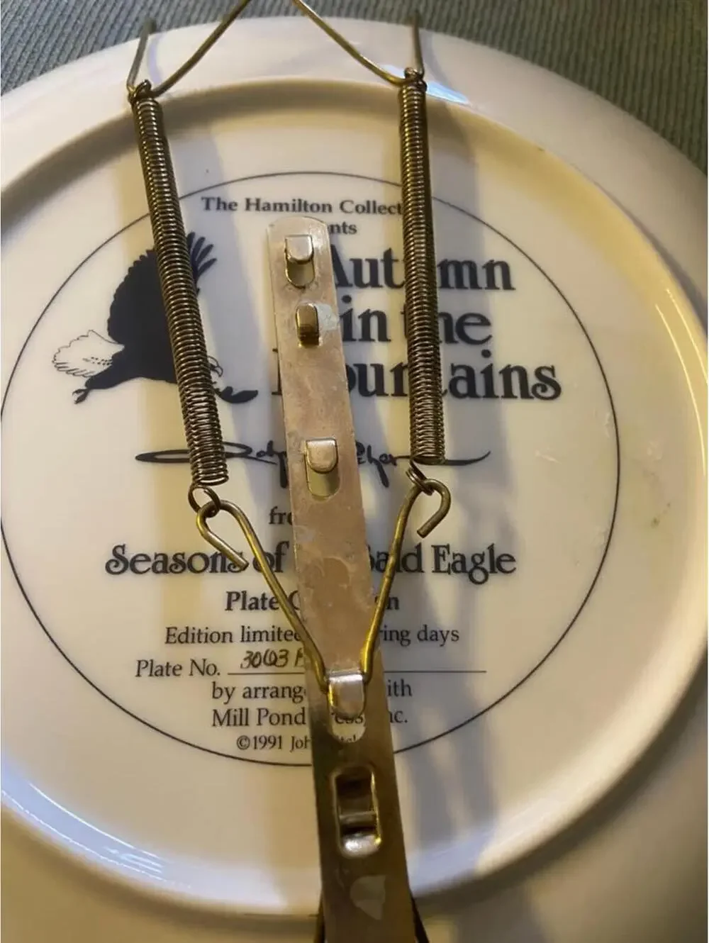 Plates by The Hamilton collection Eagles